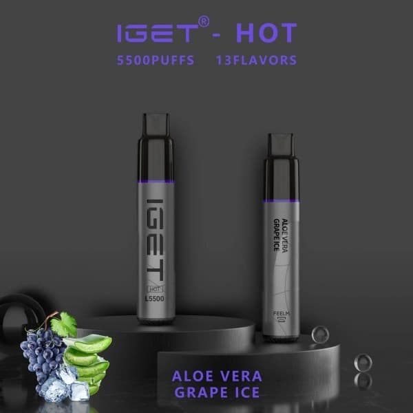 IGET HOT 5500 Puffs Aloe Vera Grape Ice – product image 2