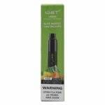 IGET Legend 4000 Puffs Aloe Mango Cantaloupe – product image 4