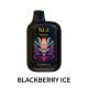 KUZ C6000 PUFFS – BLACKBERRY ICE