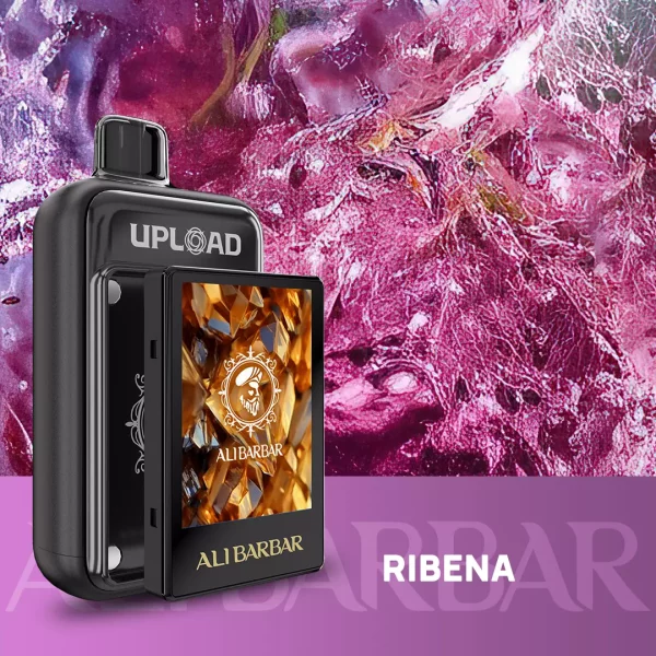ALIBARBAR UPLOAD 25000 PUFFS – Blackcurrant
