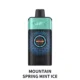 IGET ONE 12000 Puffs - Mountain Spring Mint Ice