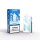 GAZOO ICE 20000 Puffs - Blueberry Ice