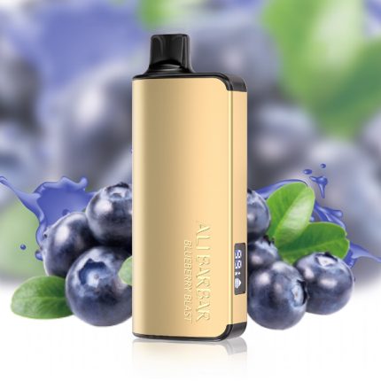 Best Fruit Disposables: ALIBARBAR INGOT 9000 Picks